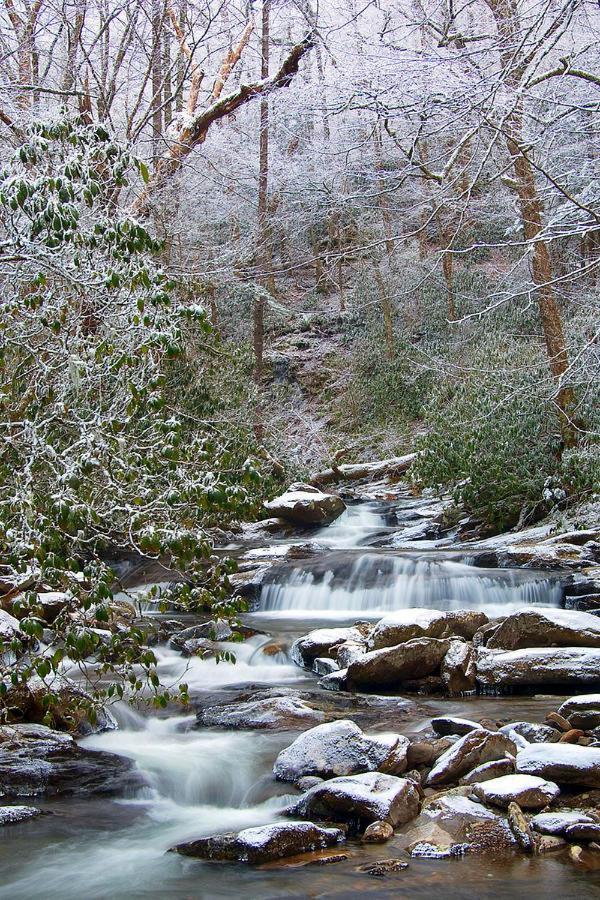 Amazing Views, Pool, Hot Tub, Pool Table, Arcade Ferienhaus Pigeon Forge